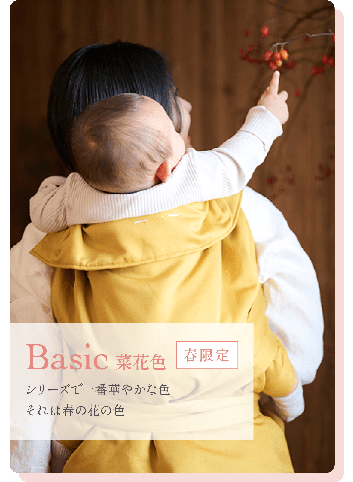 Basic菜花色